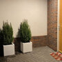 Planter Smooth wit vierkant (40 x 40 x 40 cm)